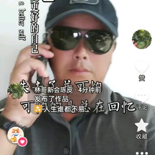 果农林哥新会陈皮