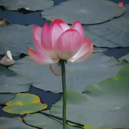 王广翠