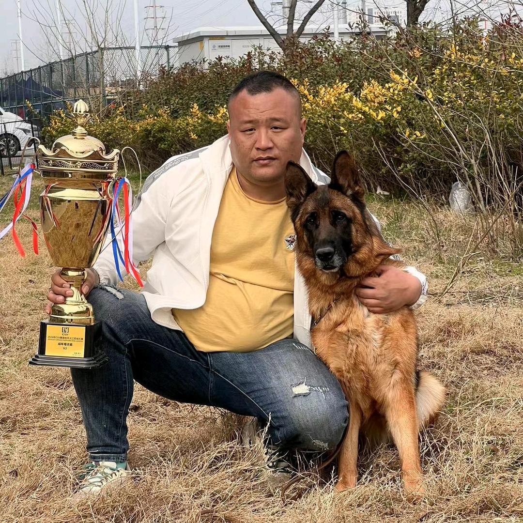 🐾 君哥爱德牧🐾