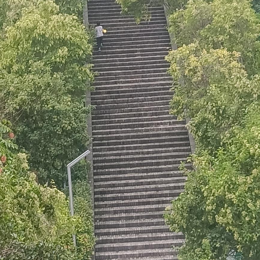 魏