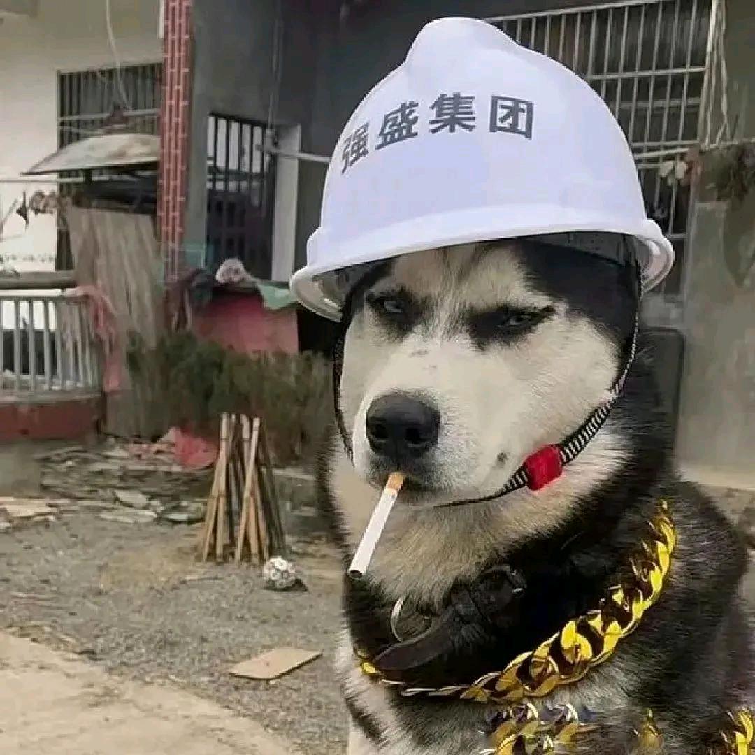 迪士尼在逃保安