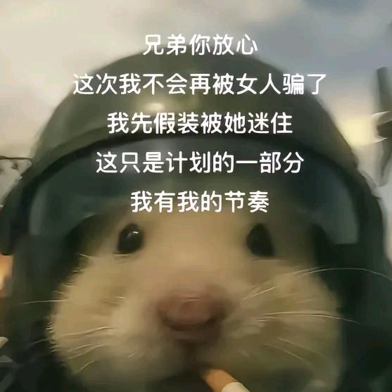 海马ヾ(｡｀Д´｡)ﾉ彡（减肥版）