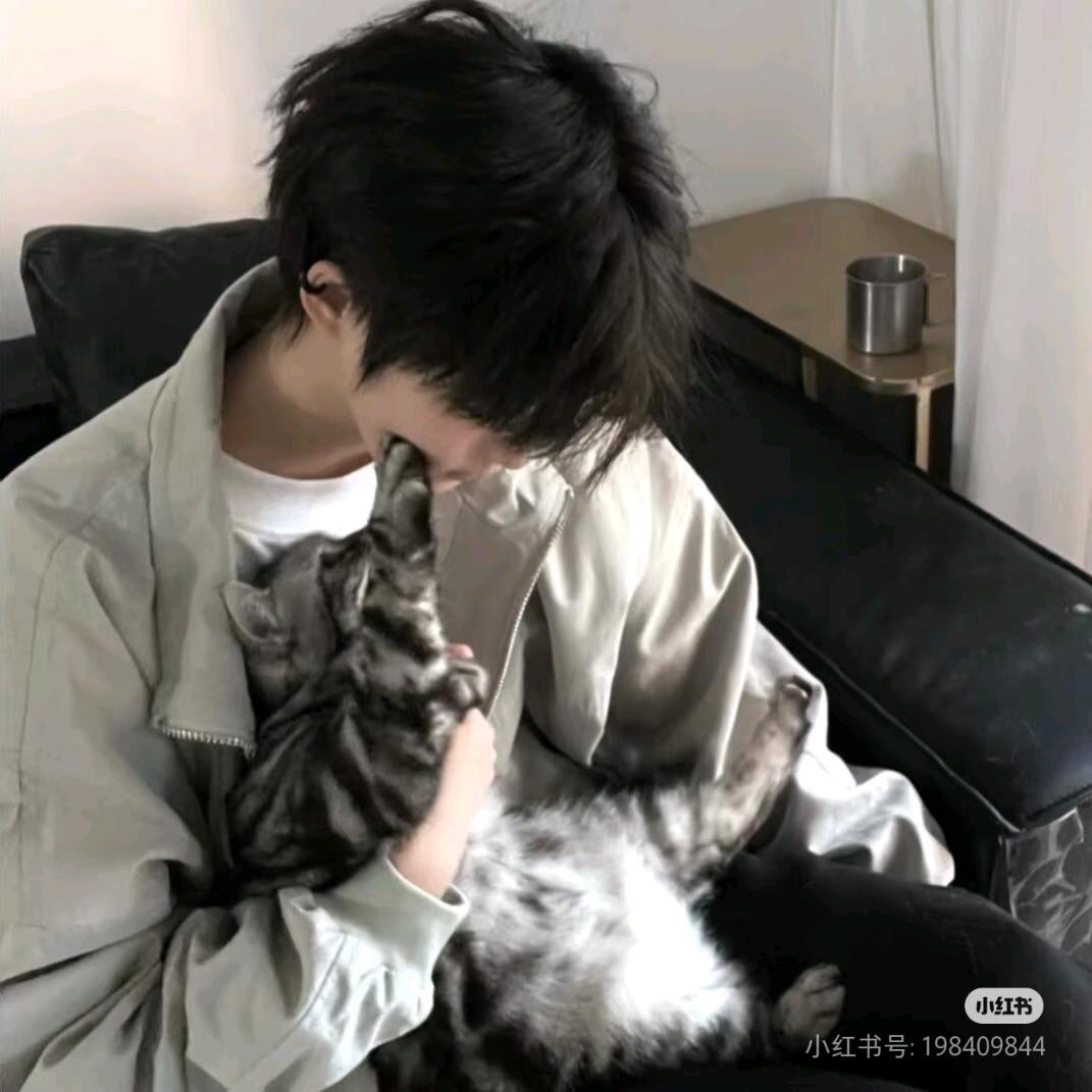 (白)(白)(白)(白)(白)