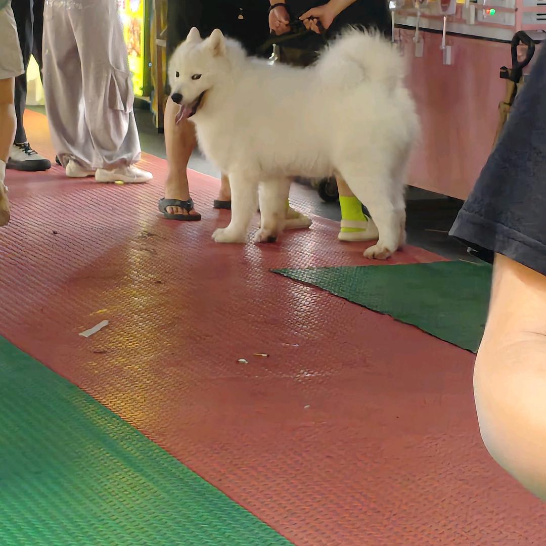 佳丽🇲🇲☺️☺️🇨