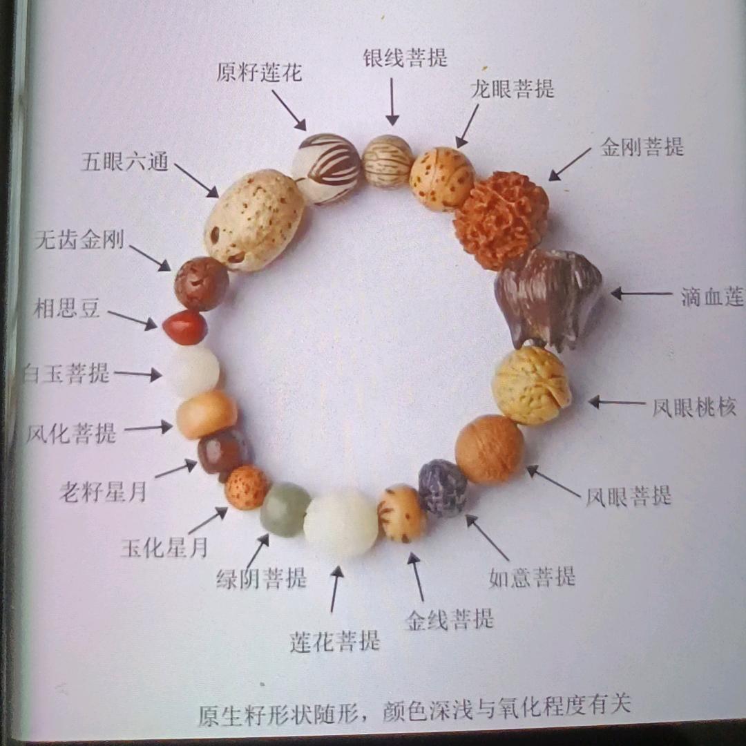 沉默不语