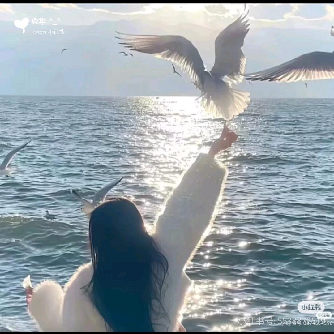 左豆子爱玩