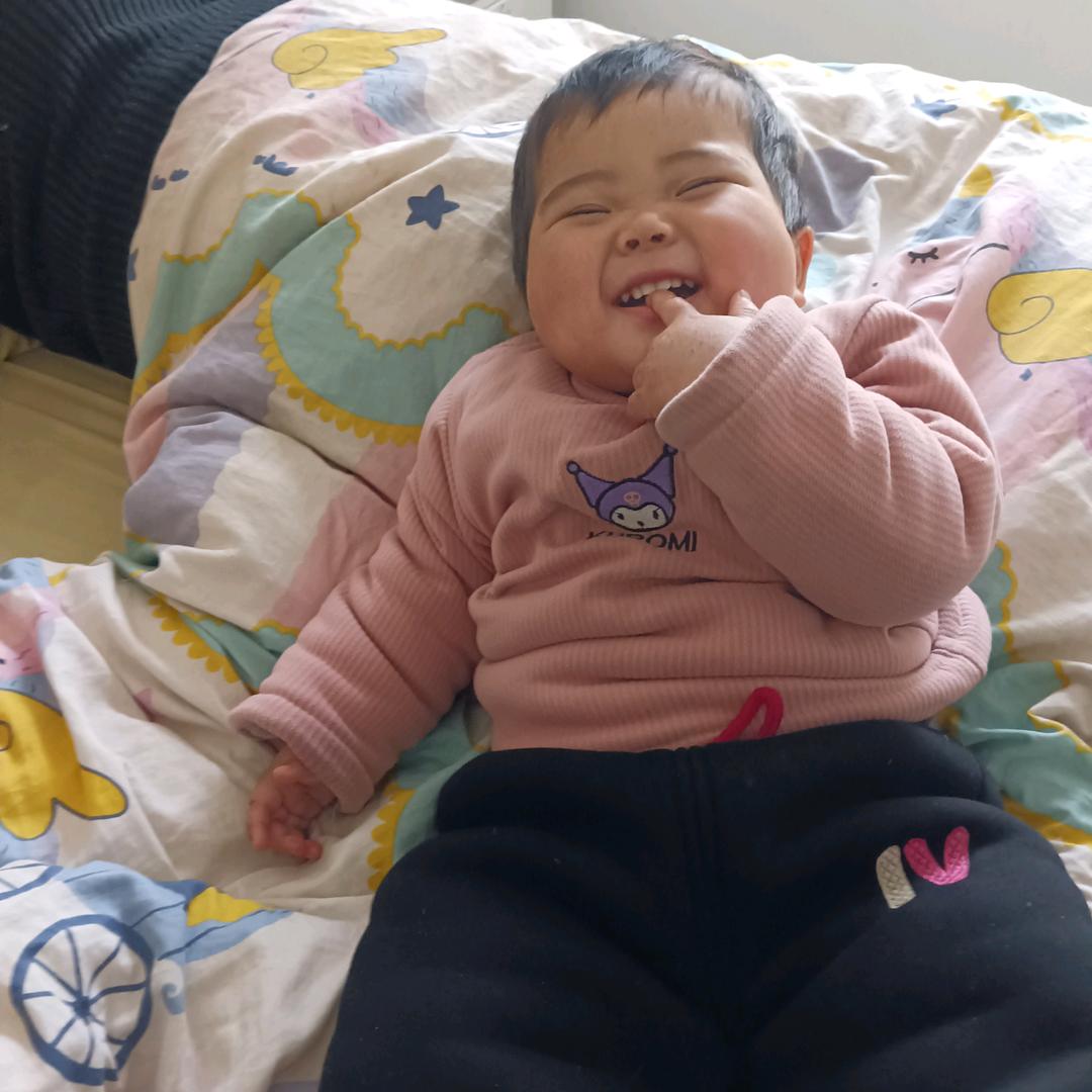 王者农药小趴菜