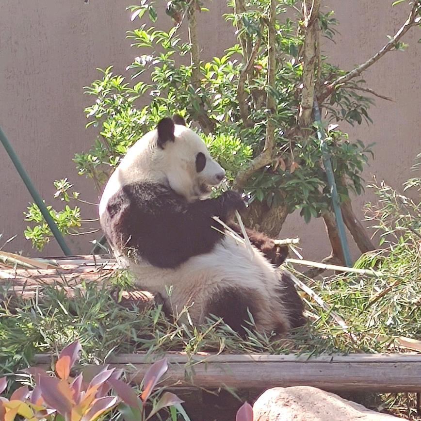 小钱农时