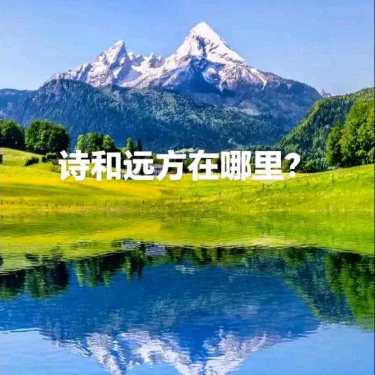 看淡明悟