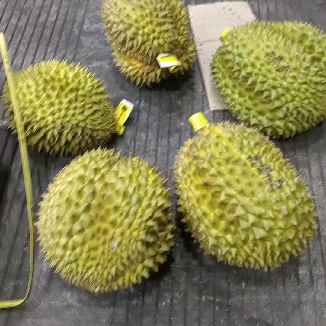 果皇阁