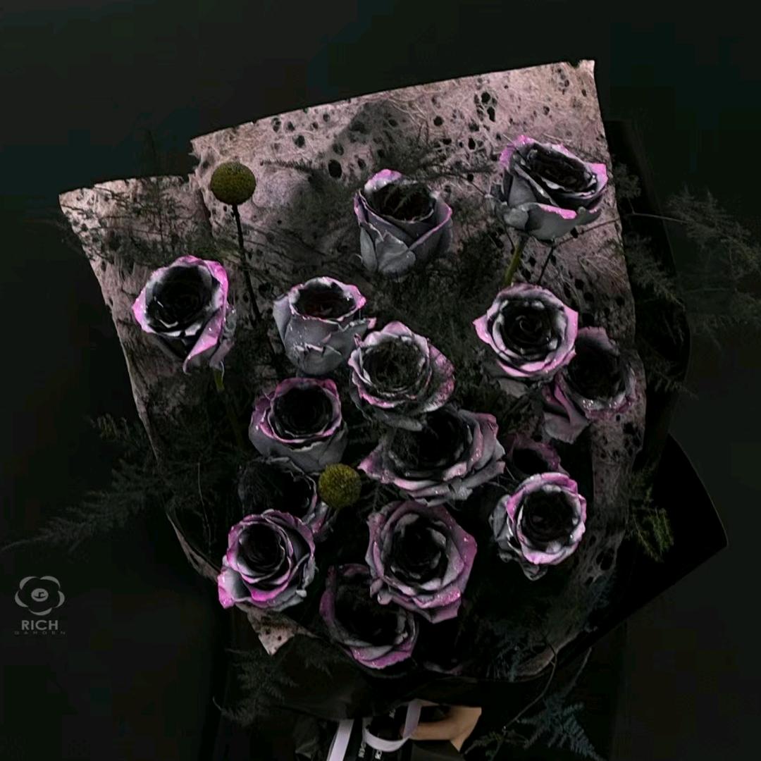 今日霜降，柿子红了