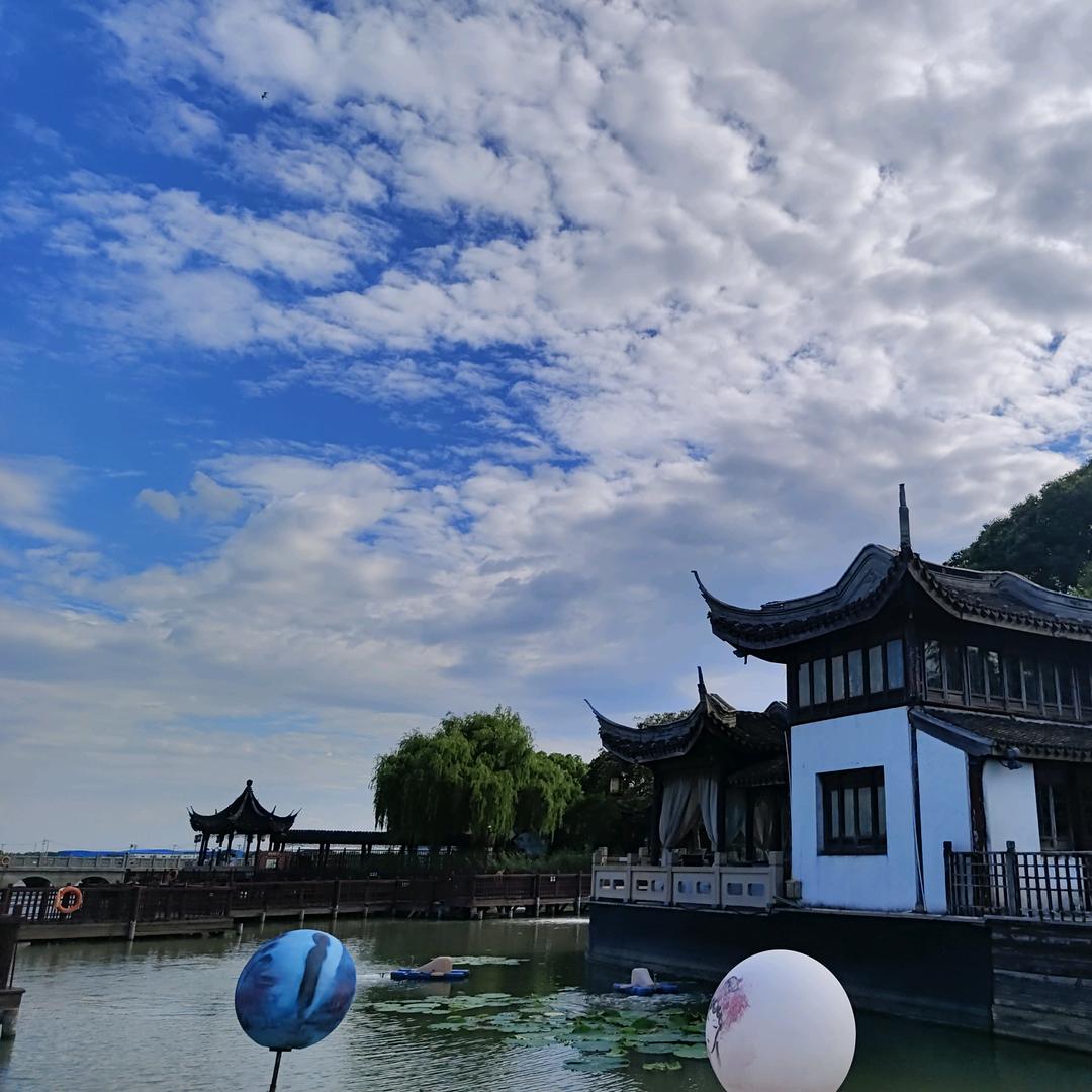 小锦鲤啊