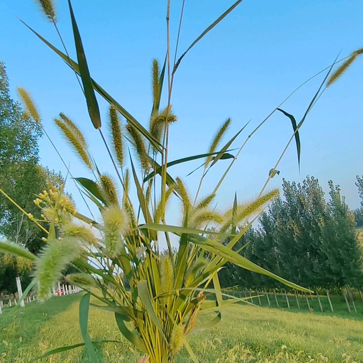 《暖心小太阳》