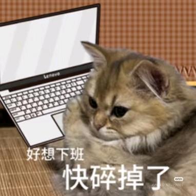 假期我想你了...