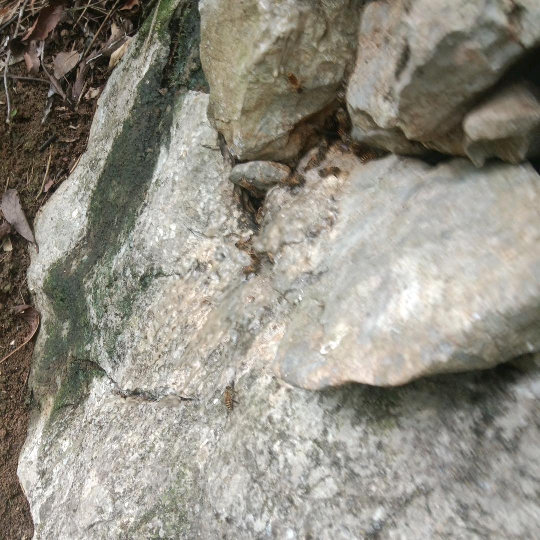 梦想