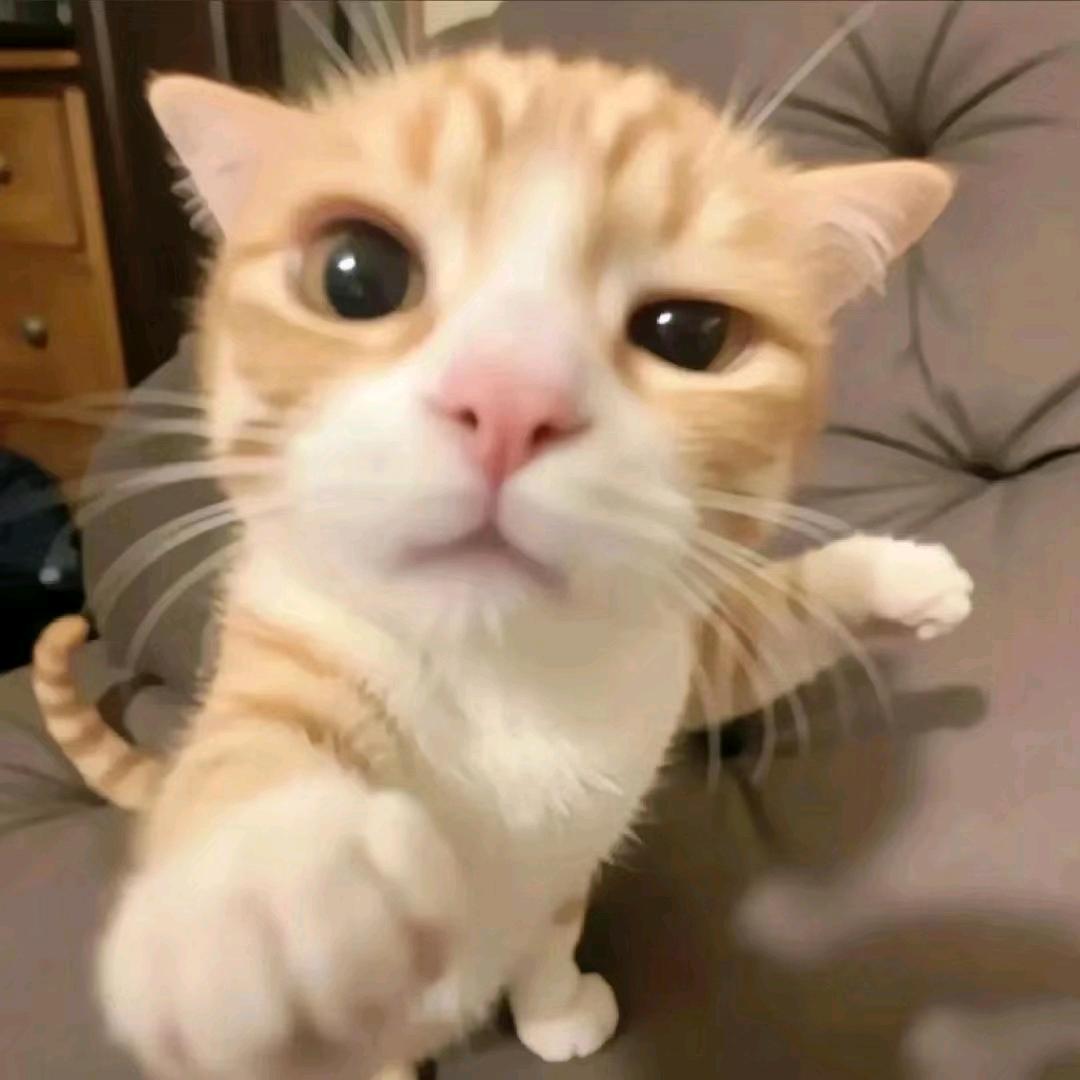 嗯呐～