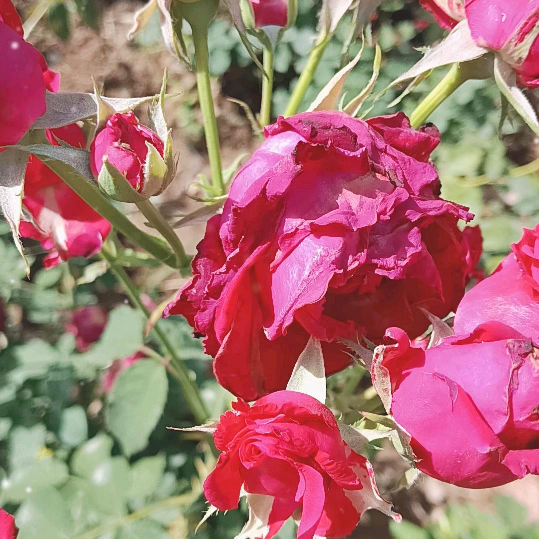 美好时光