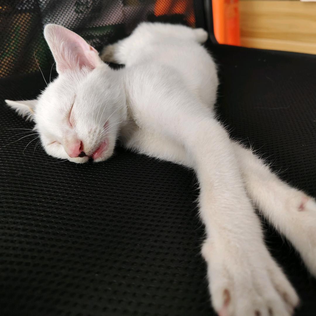 好果来鲜品零售店