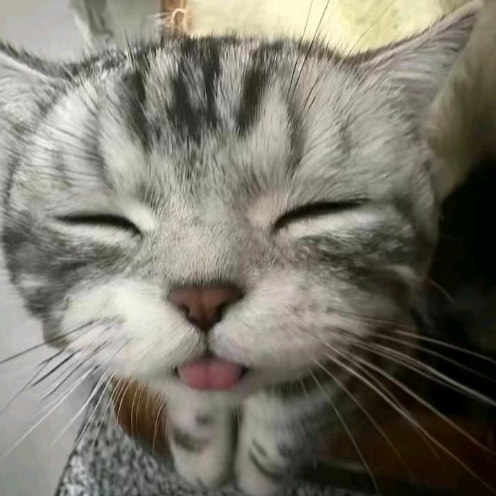 秒头像