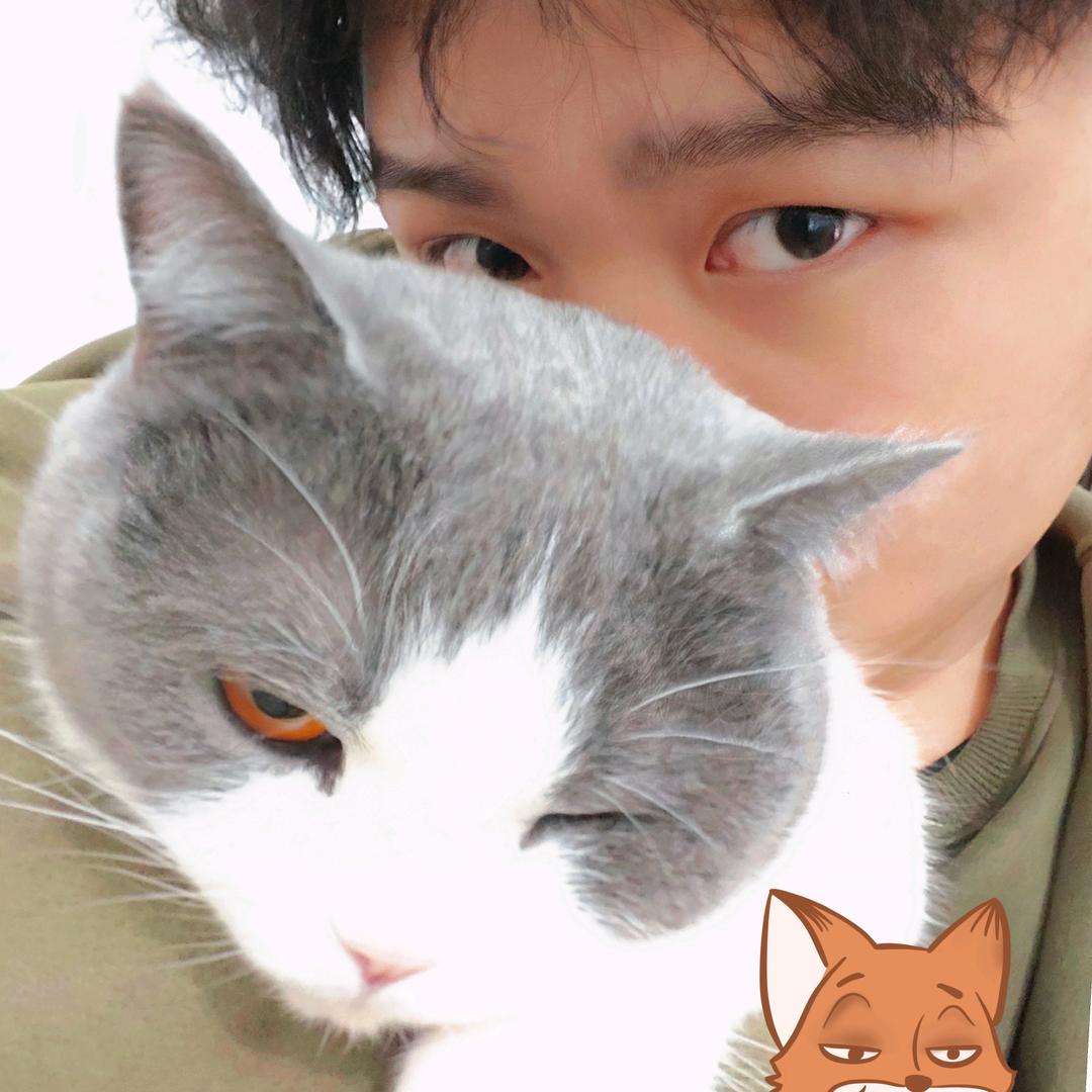 .洋