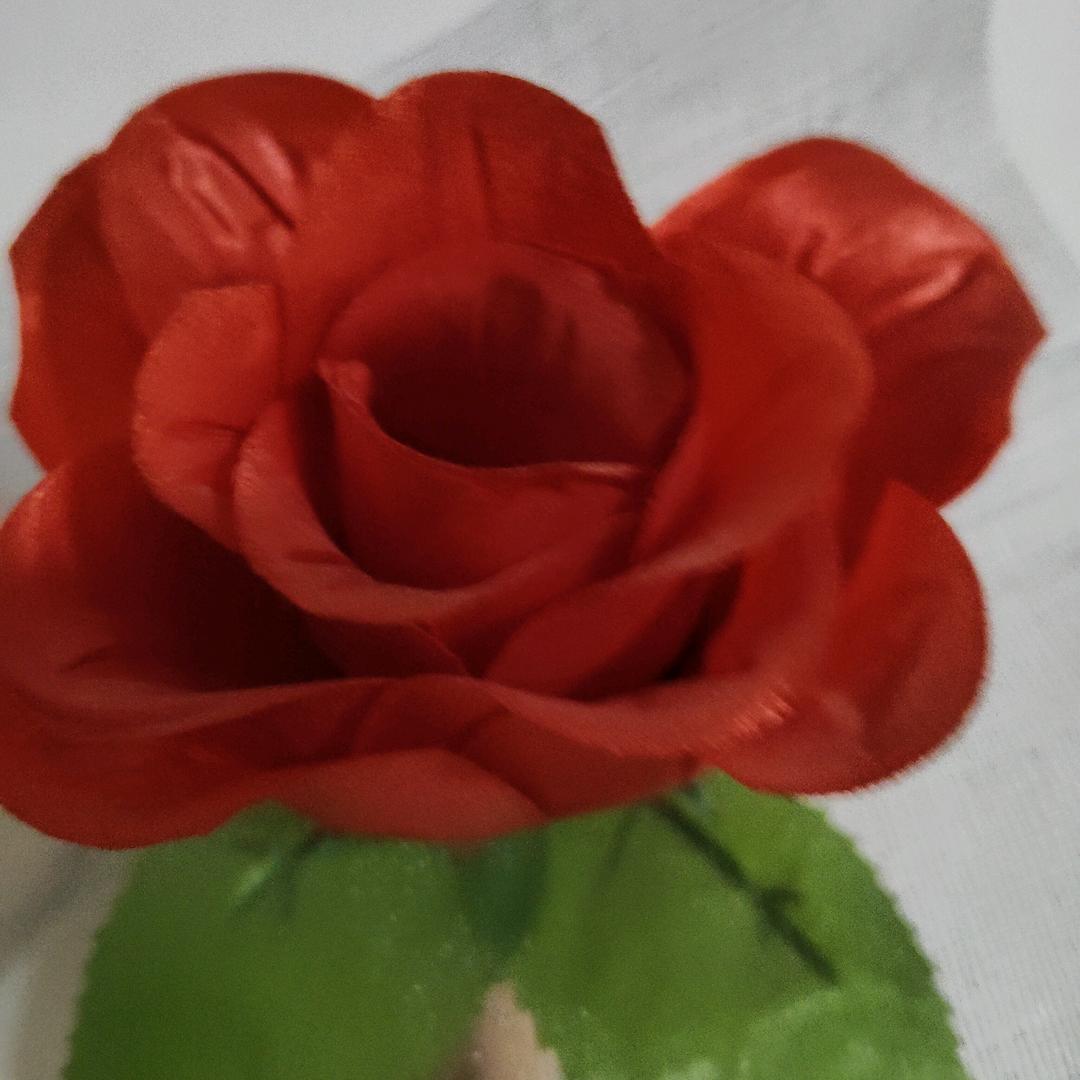 玫瑰