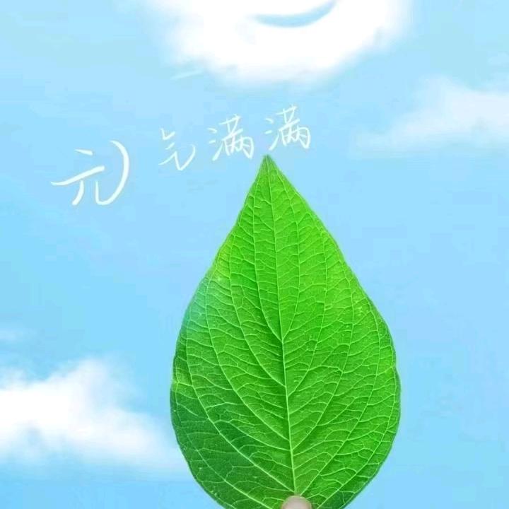 🌱岁月静好❤️
