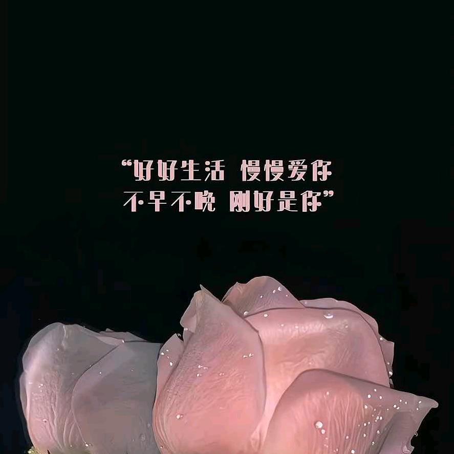 柿柿如意