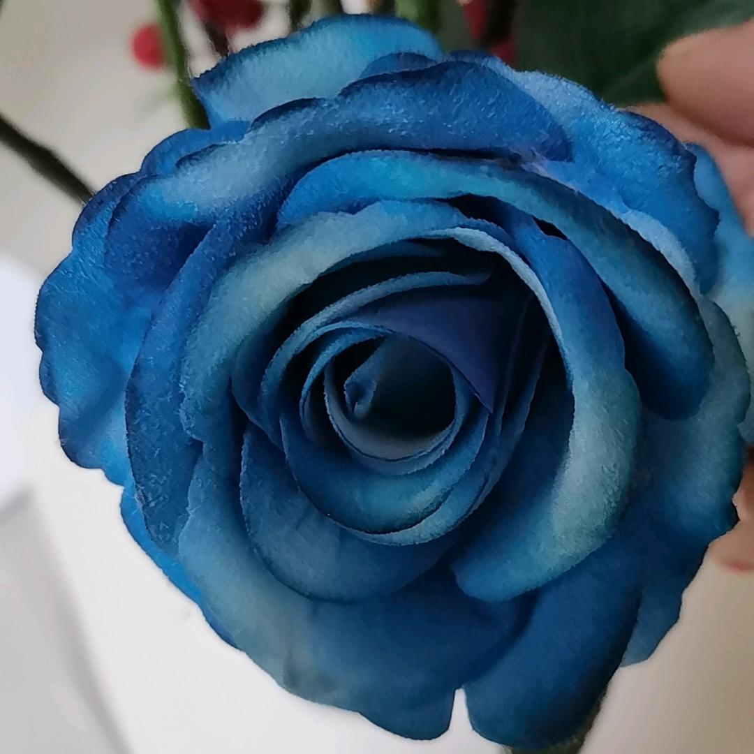 小裙子