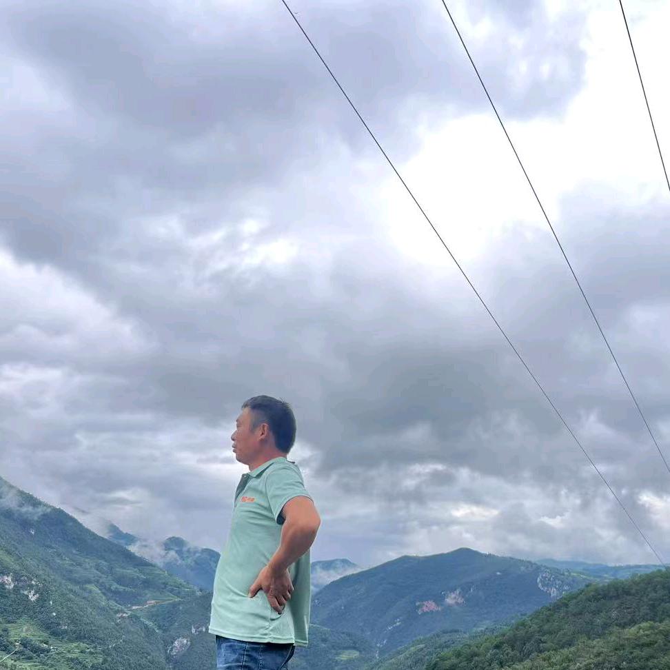 心静自然……凉