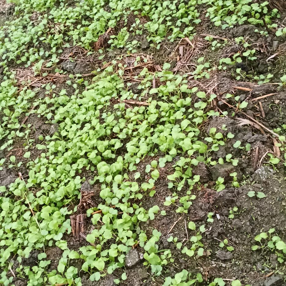 用户4894688027240老易