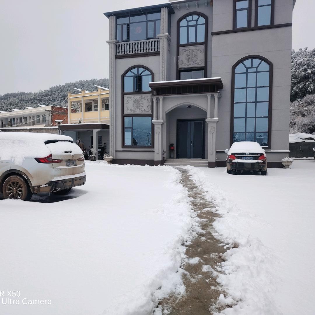 小马
