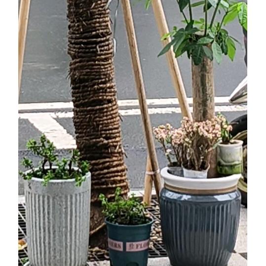 自己走自己的路