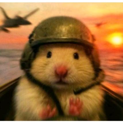 枕空辞