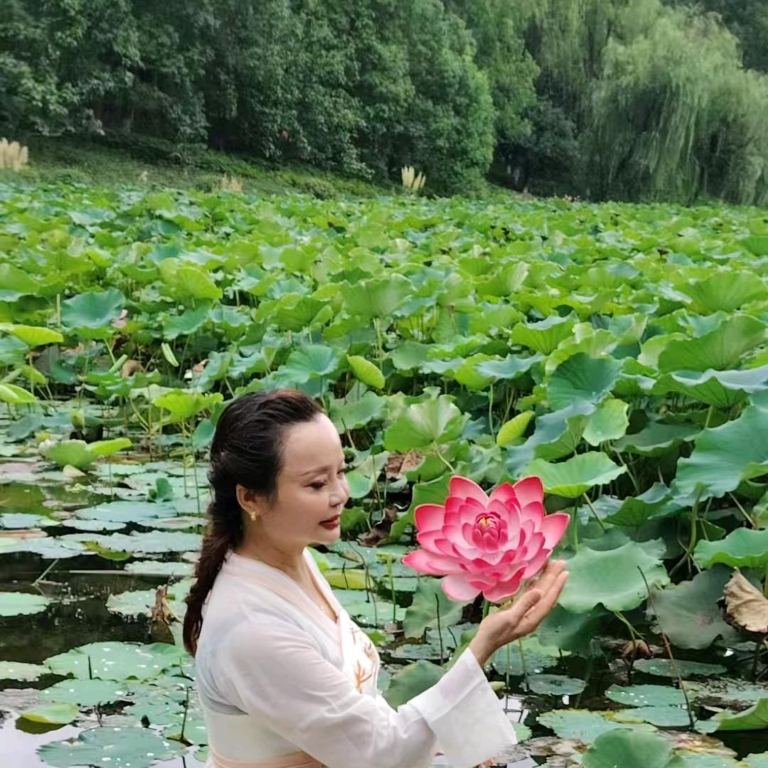 牡丹.