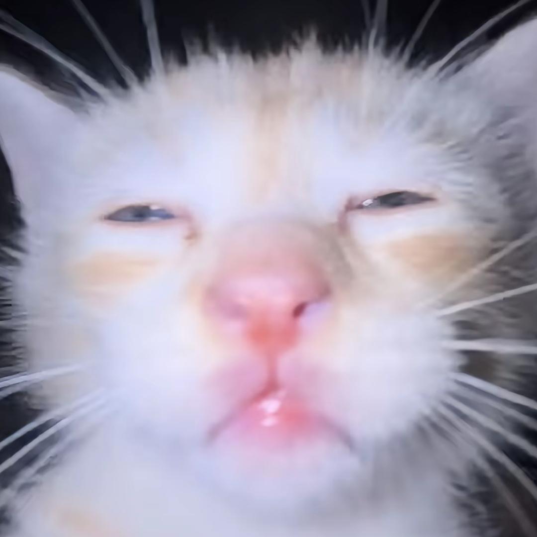 花好月圆等13140人