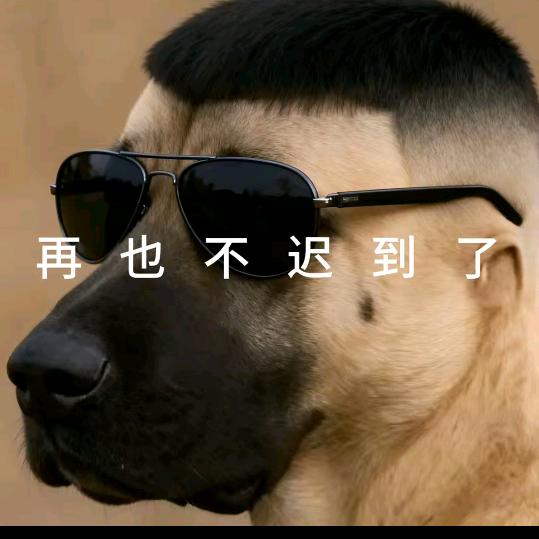 凿凿⁹⁹⁹⁹⁹