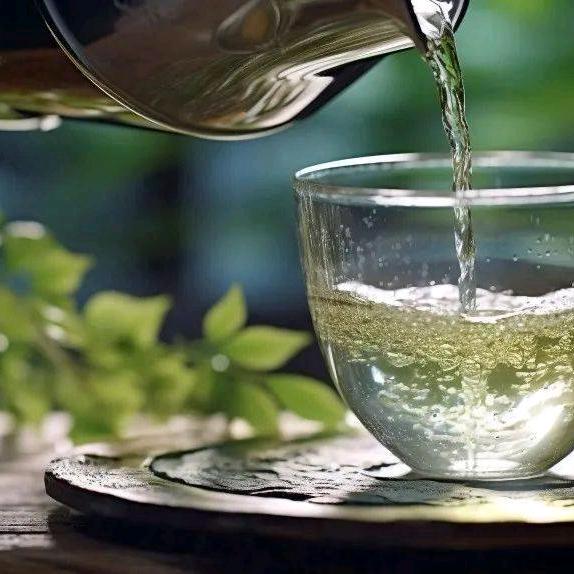 舒坪老师脾胃论（本人2）