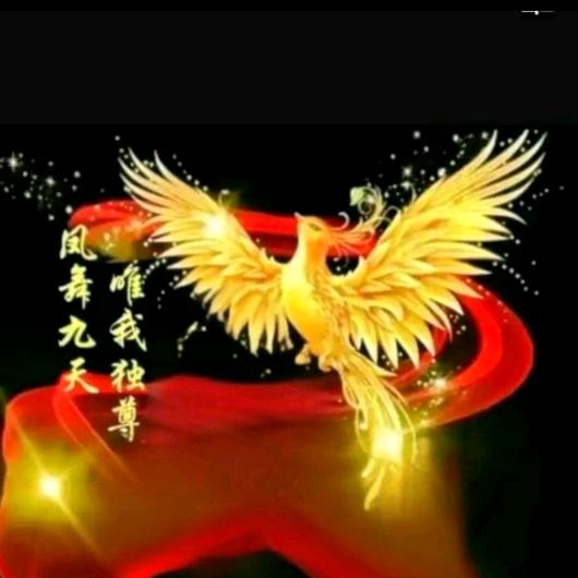 💫凤舞👑玖天💰