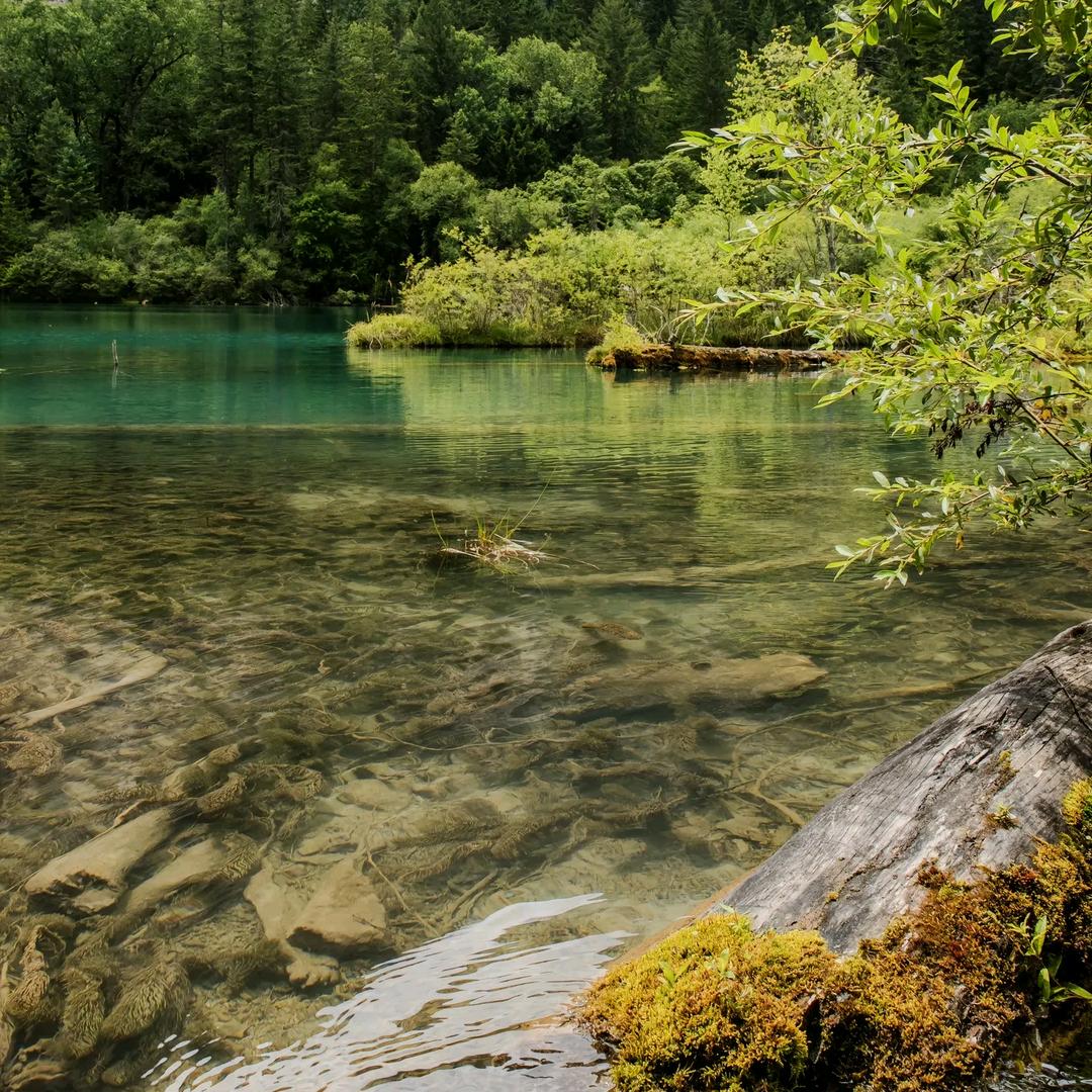 贵阳蓓僖食品有限公司官方号