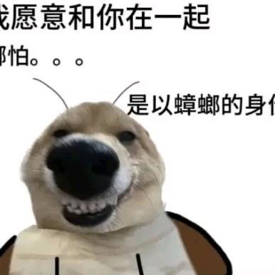 縕