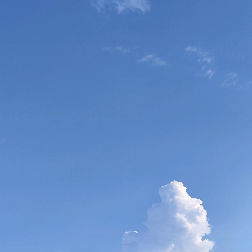 土豆