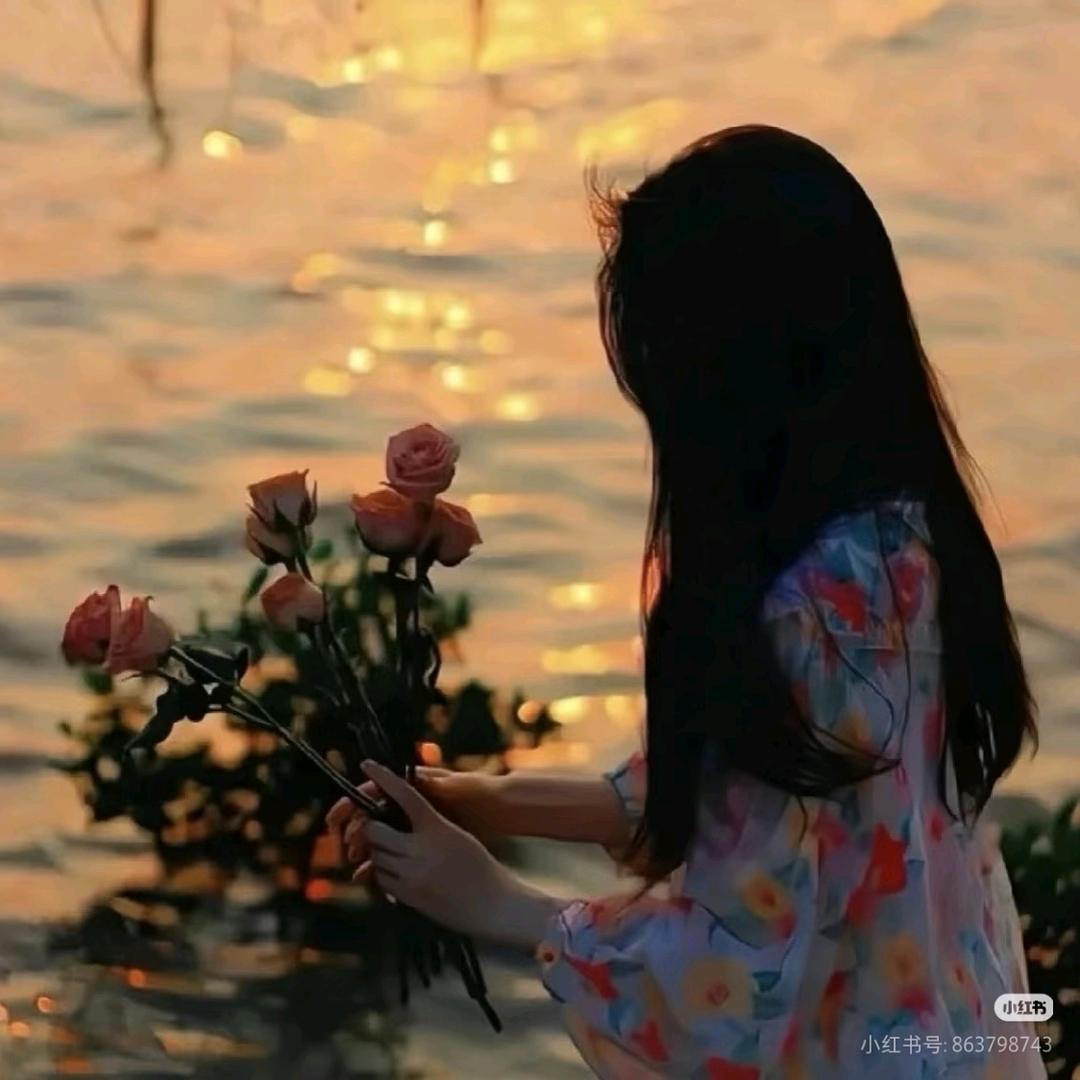 会许愿的月季花