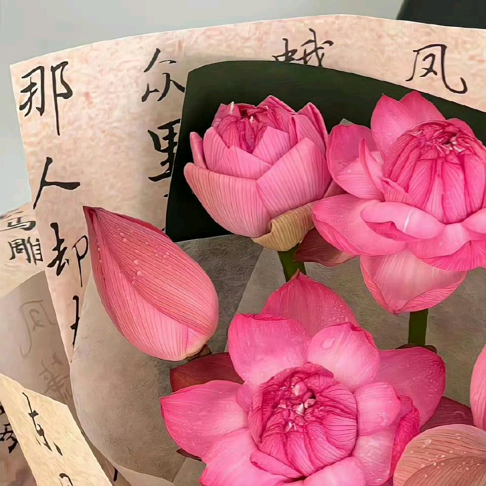 糕糕