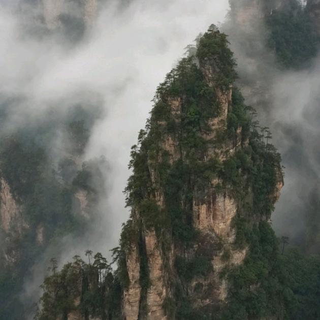 岁月嫣然