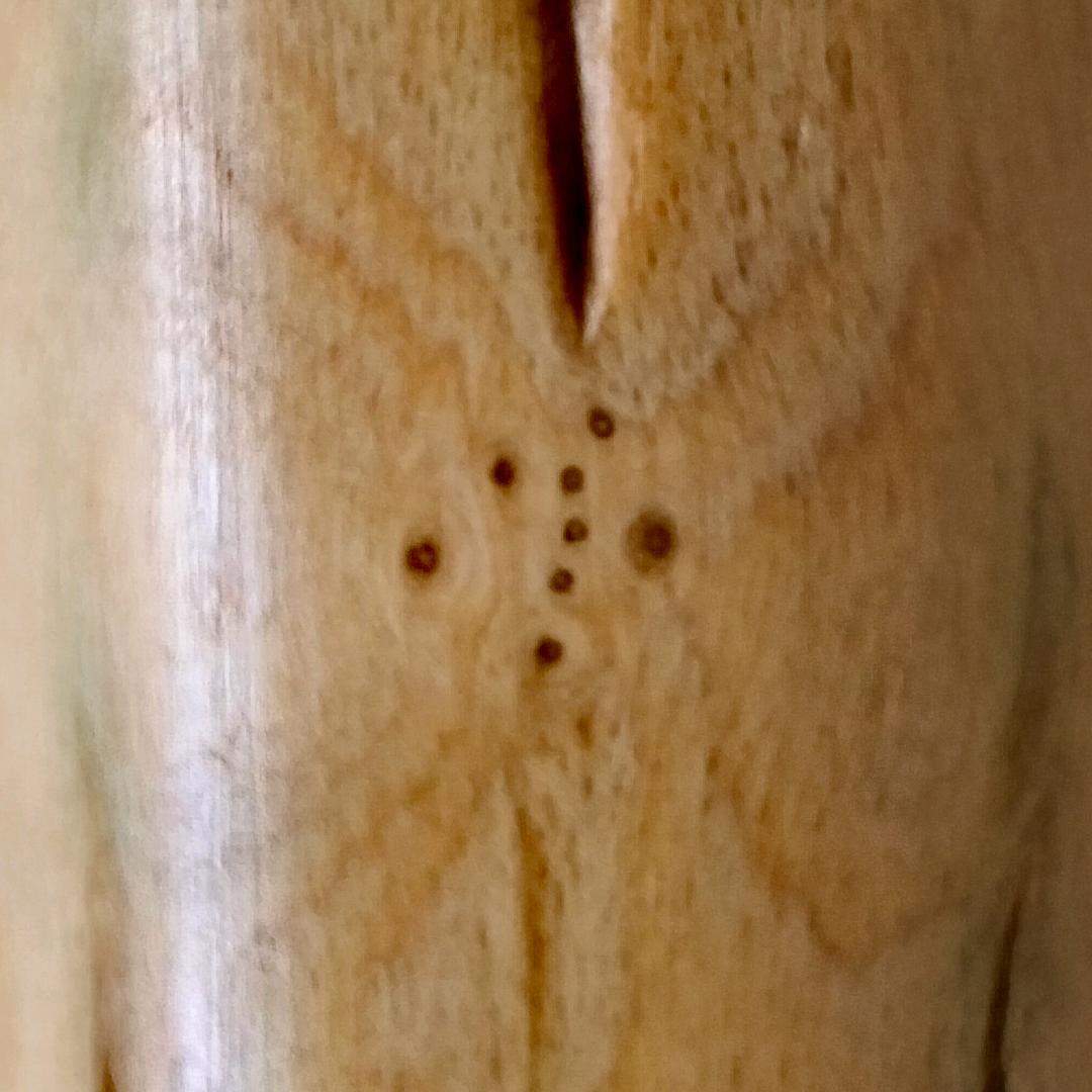 自然之韵