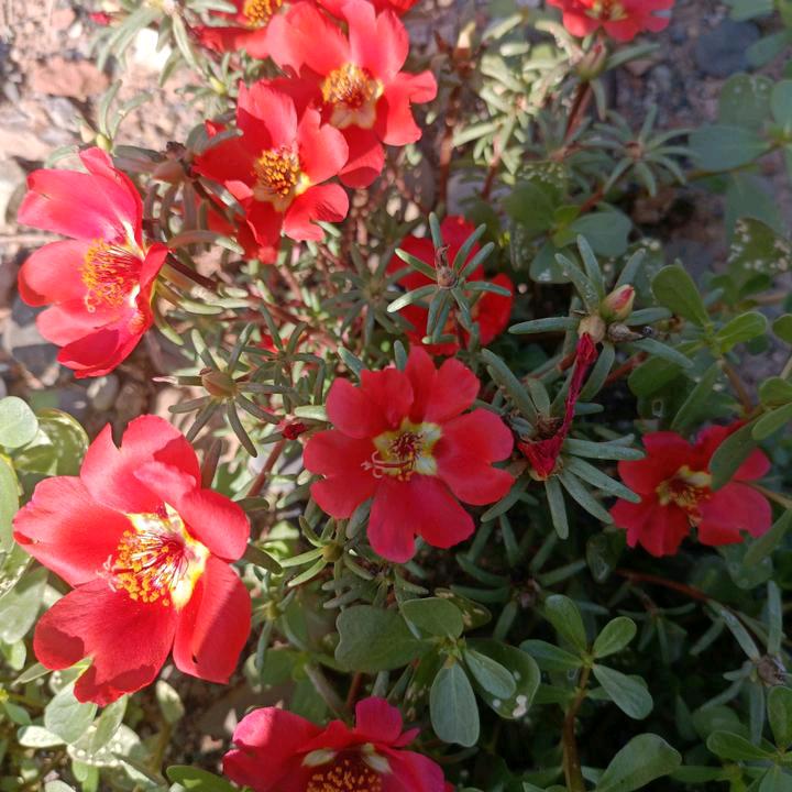 王思缘💗💗💗