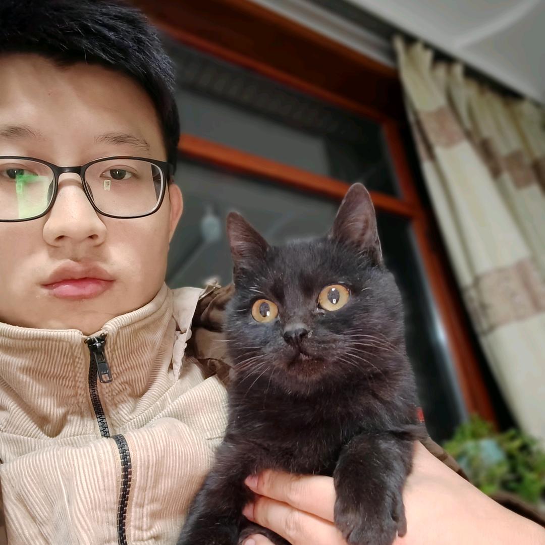 X聪