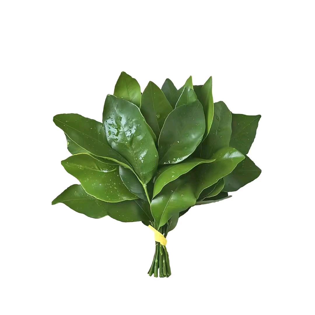 曜川