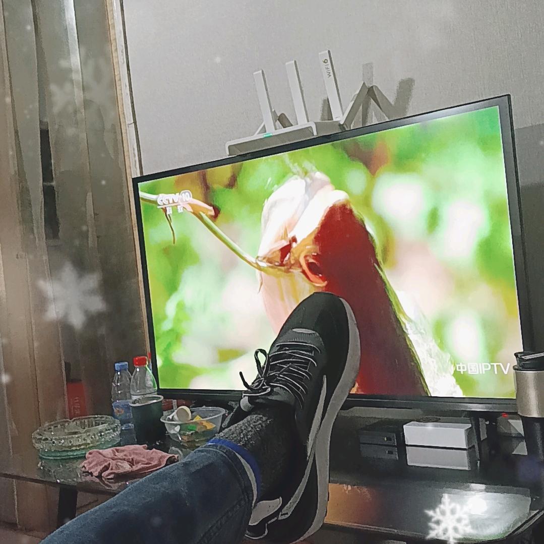三省吾身