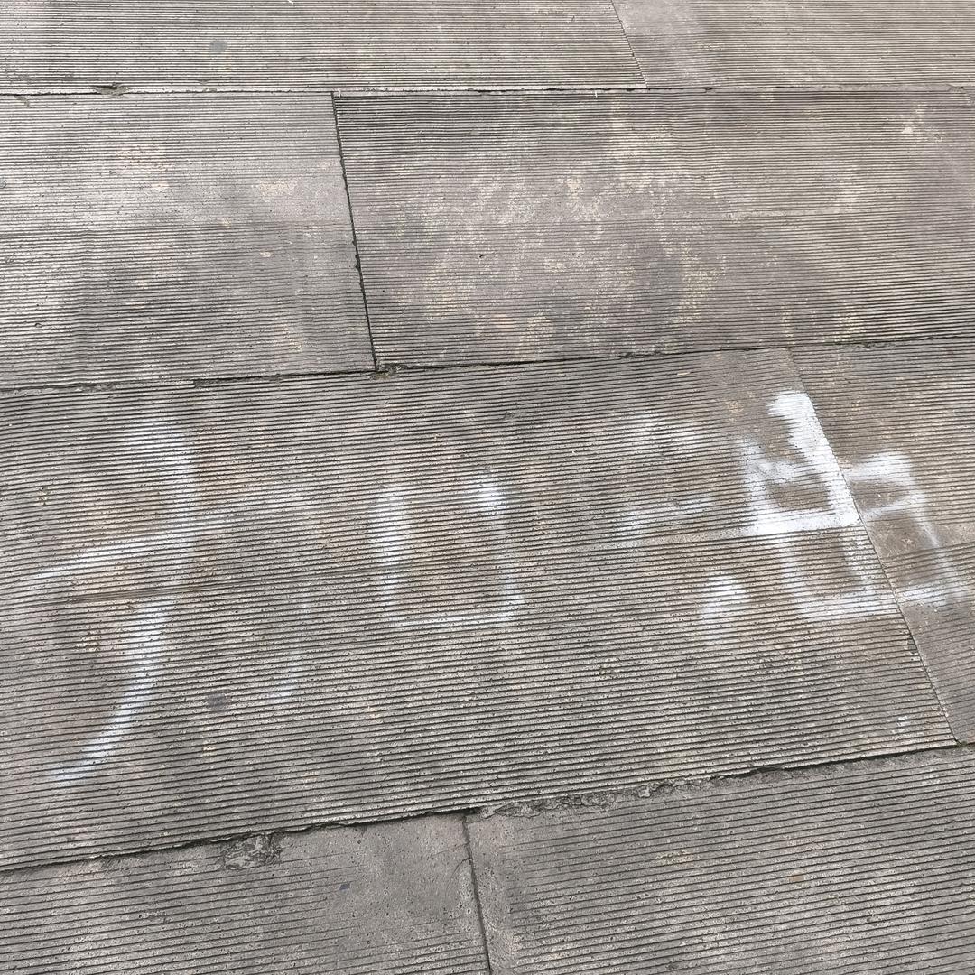 沐浴阳光下